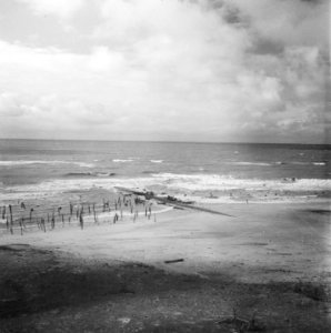 Staketsels in de branding aan de kust, Bestanddeelnr 900-6197