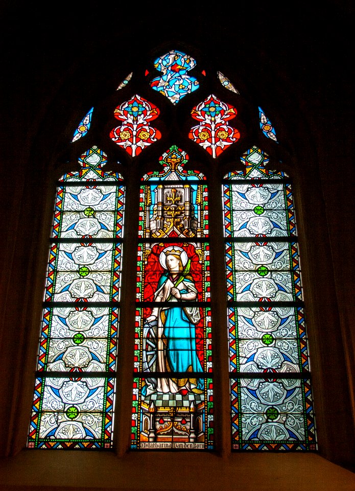 Stained-glass window of Sint-Quintinuskathedraal 2010-02-27 06