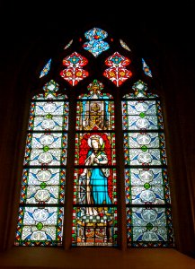 Stained-glass window of Sint-Quintinuskathedraal 2010-02-27 06
