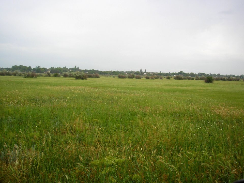 StalnoeDzh 4