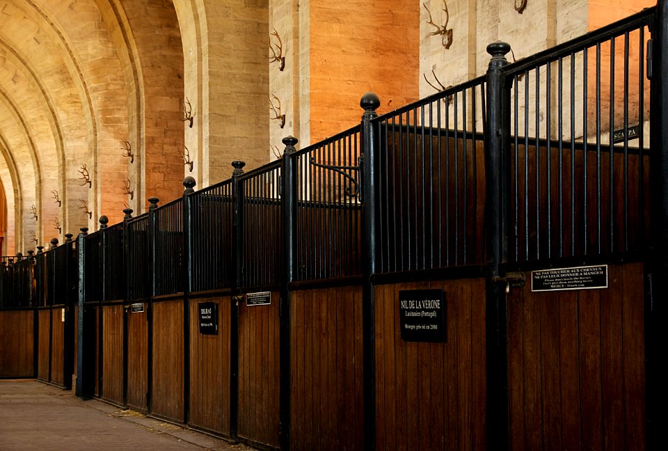 Stalles musée vivant cheval Chantilly