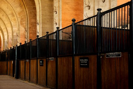 Stalles musée vivant cheval Chantilly