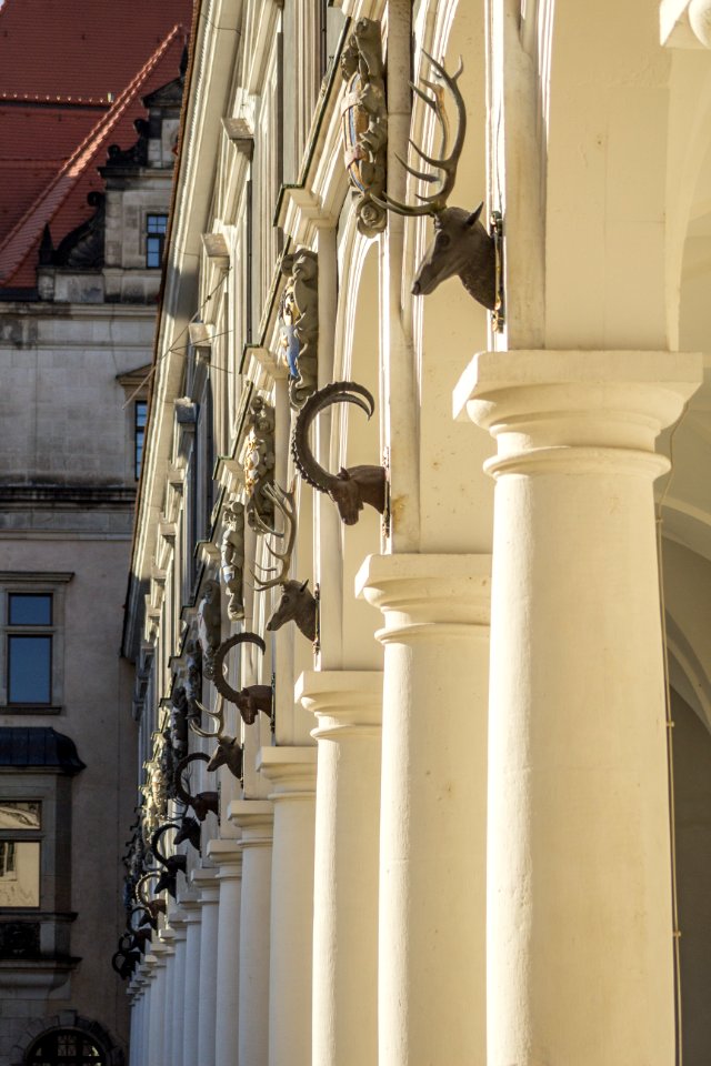 Stallhof Dresden - Geweihe