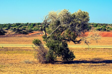 Nature rural countryside photo