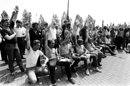 Stakende werknemers van ertsoverslagbedrijven Emo en Swarttouw blijven staken d, Bestanddeelnr 932-1643