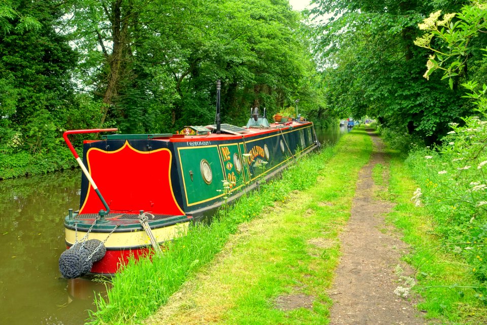 Staffordshire and Worcestershire Canal - Great Haywood, Staffordshire, England - DSC09911