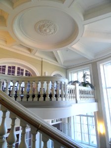 Stairway - Finnish Museum of Natural History - DSC04542 photo