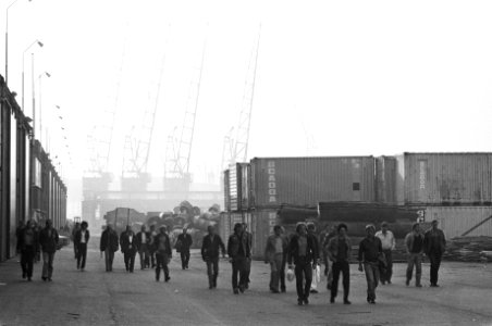 Stakende havenarbeiders op het terrein van het Amsterdams Havenbedrijf in de Coe, Bestanddeelnr 930-4171