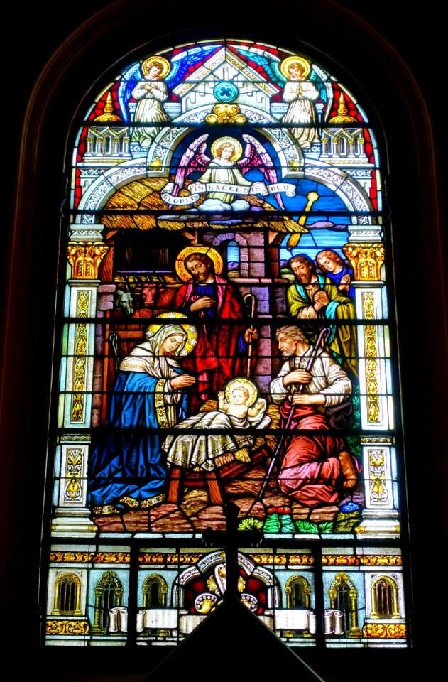 Stained glass 02 - Saints Peter and Paul Catholic Church - San Francisco, CA - DSC02586