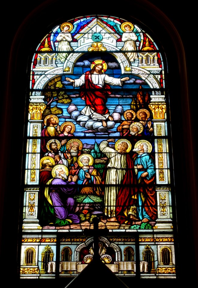 Stained glass 04 - Saints Peter and Paul Catholic Church - San Francisco, CA - DSC02612