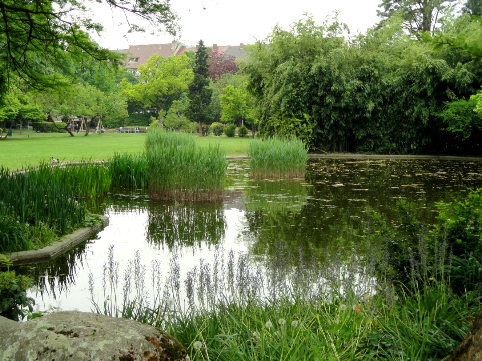 Stadtgarten Freiburg - DSC06713