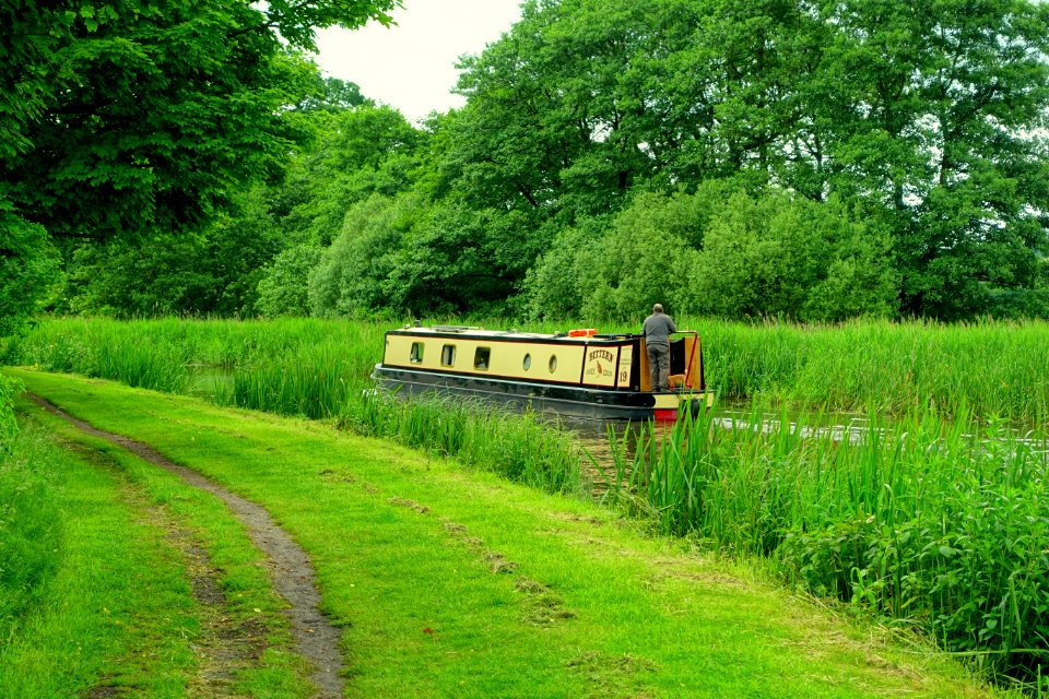 Staffordshire and Worcestershire Canal - Great Haywood, Staffordshire, England - DSC09899