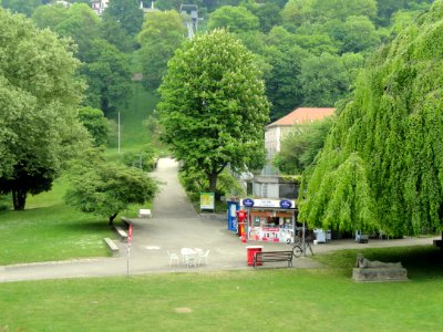 Stadtgarten Freiburg - DSC06700