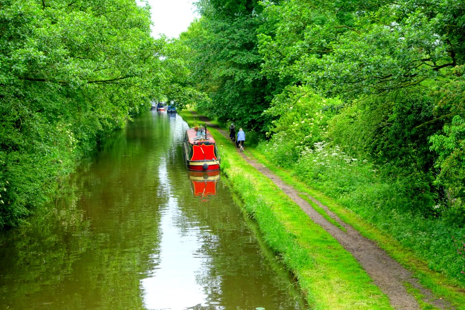 Staffordshire and Worcestershire Canal - Great Haywood, Staffordshire, England - DSC09909