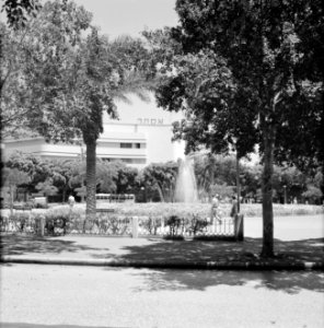 Stadspark met bomen en een fontein, vermoedelijk Diezengoff Circle Square, Bestanddeelnr 255-1749
