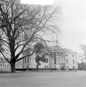 Stadsgezichten Utrecht. Gebouw Het Hooge Land gezien van Museumlaan richting Bil, Bestanddeelnr 906-2551