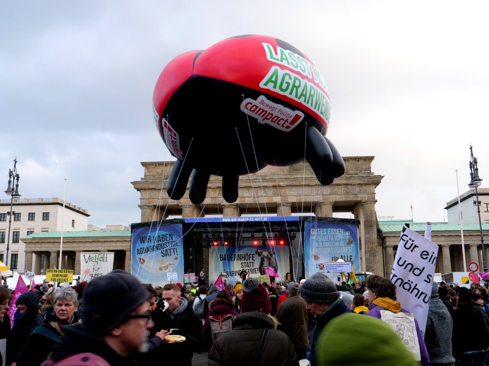 Stage of the "Wir Haben Es Satt!" Demonstration 2019 05
