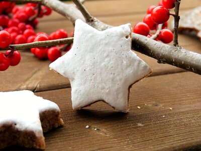 Cinnamon star christmas cookies