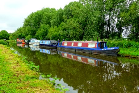 Staffordshire and Worcestershire Canal - Great Haywood, Staffordshire, England - DSC09849