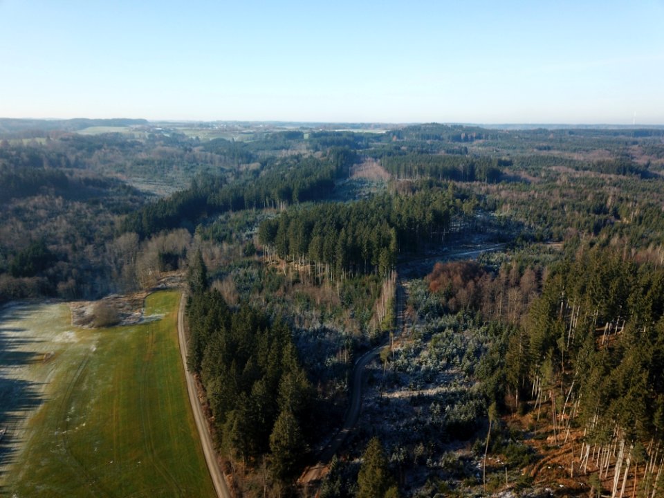 Staffelwald von Hammerschmiede aus