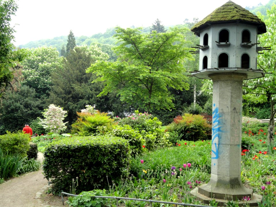 Stadtgarten Freiburg - DSC06705