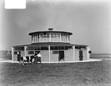 Stierenstal Zuiderwoude exterieur, Bestanddeelnr 904-7925