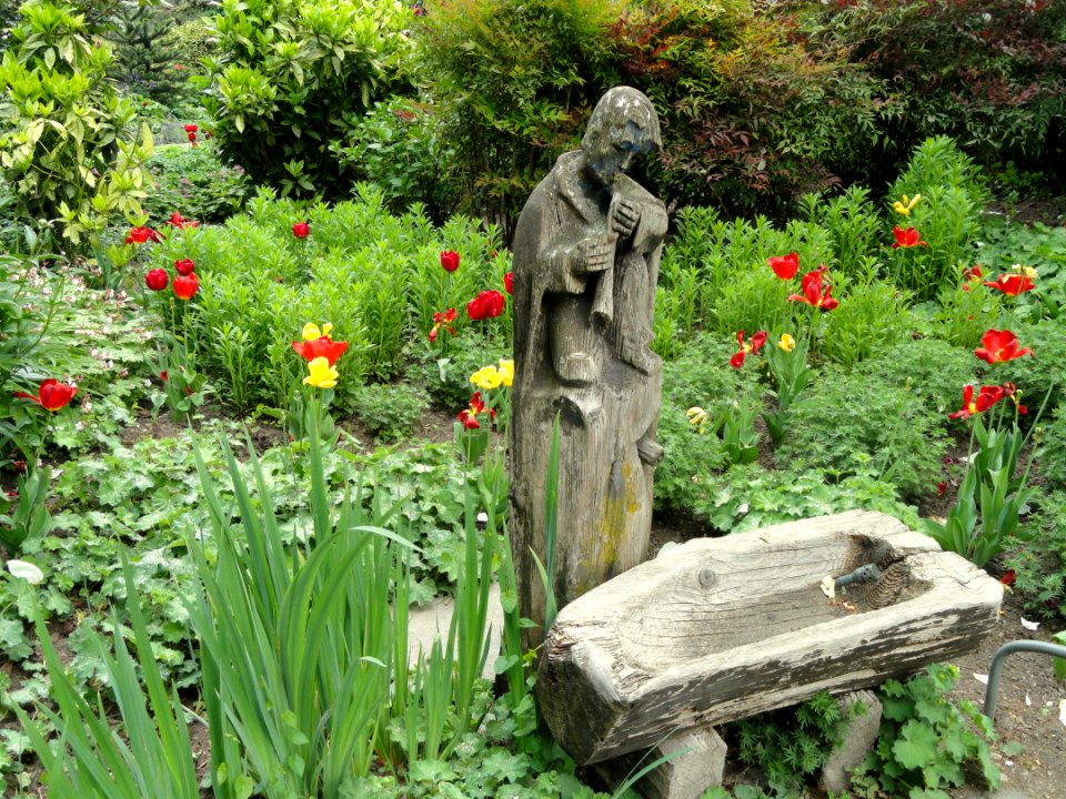 Stadtgarten Freiburg - DSC06706
