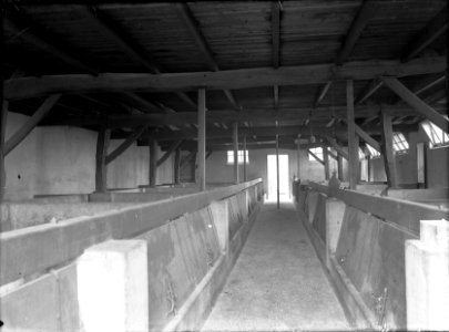 Stallen en schuren, varkensstallen, de rips, Bestanddeelnr 162-0590