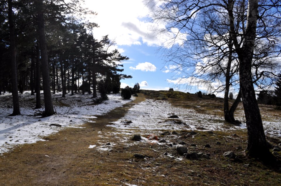 Stig i norra delen av Lindbacke