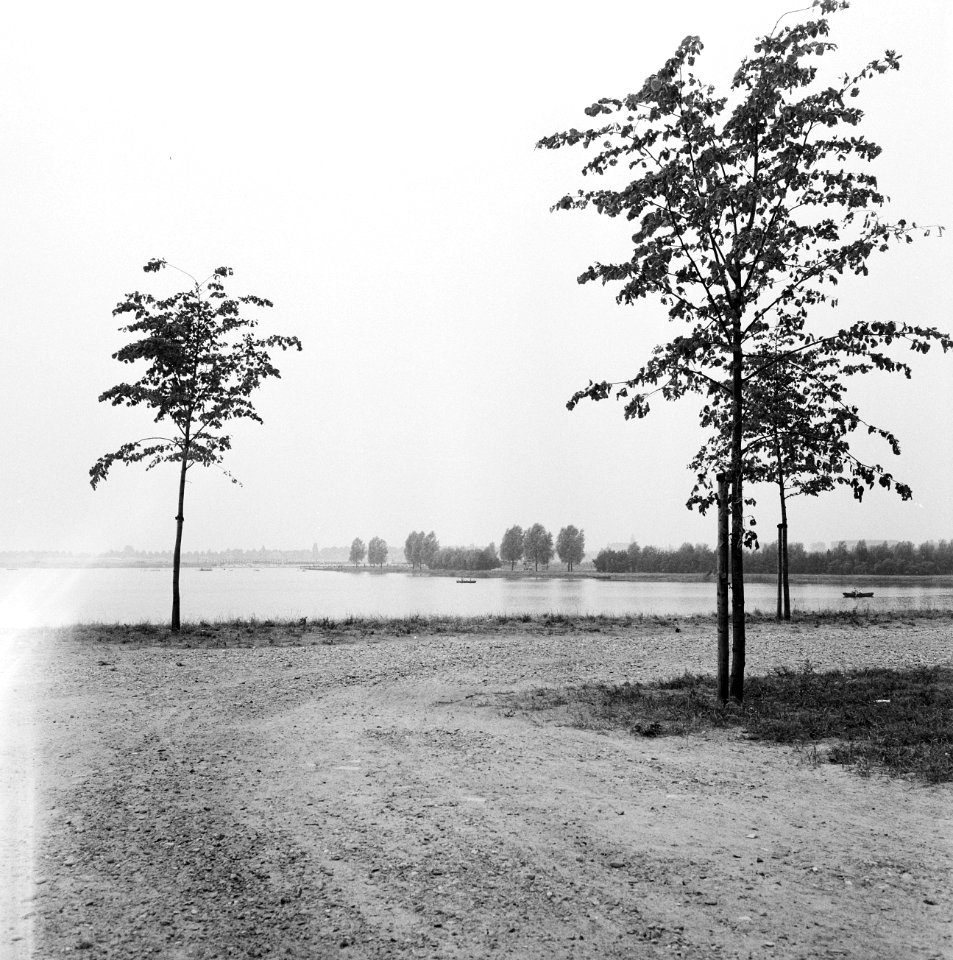 Stilleven, Bestanddeelnr 163-0888