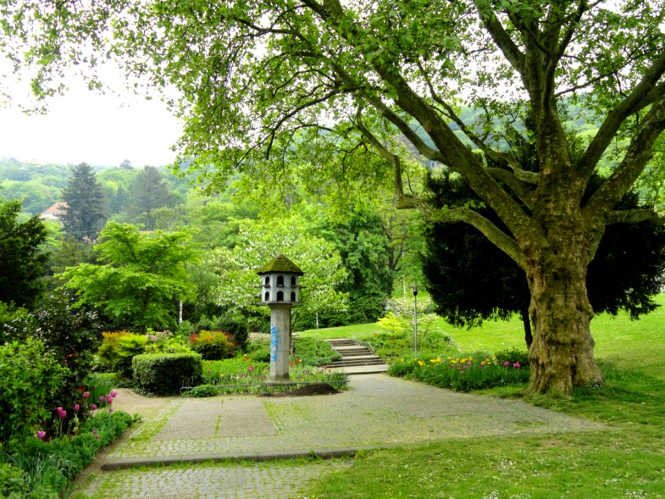 Stadtgarten Freiburg - DSC06703