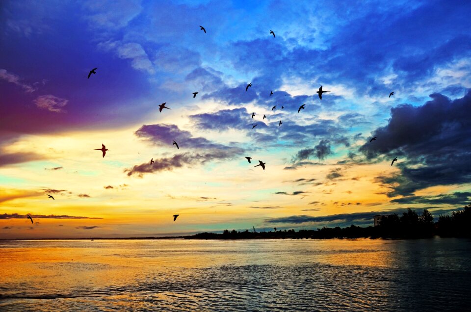 Sunset ocean summer