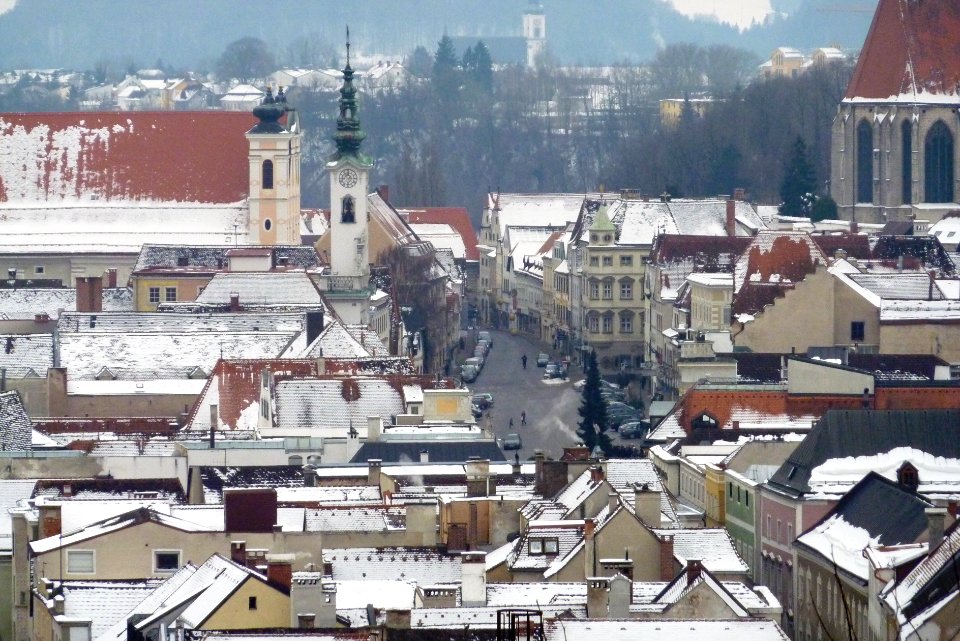 Steyr 005
