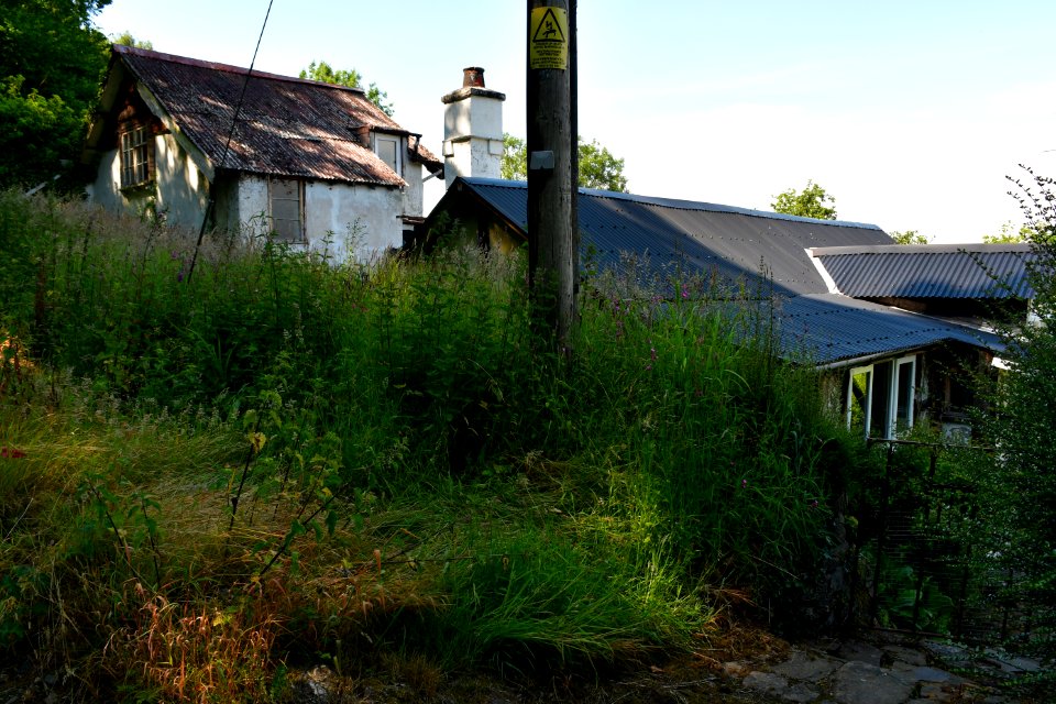 Sticklepath (2021-06-30) 57