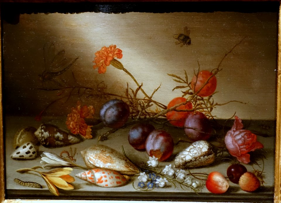 Still life with shells, carnations, lily of the valley, crocii, rose, plums, cherries, and insects on a ledge, by Balthasar van der Ast, 1630s-1650s, oil on wood - Princeton University Art Museum - DSC06522
