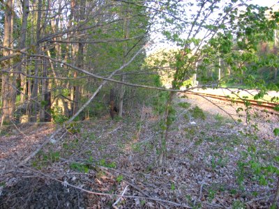 Stevenson station site 152