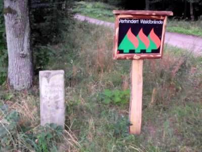 Stadtforst Perleberg 3