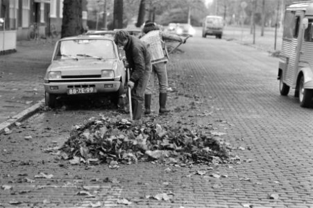 Stadsreiniging, medewerkers, bladeren, Bestanddeelnr 931-7691