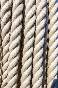 Twisted cable knot photo