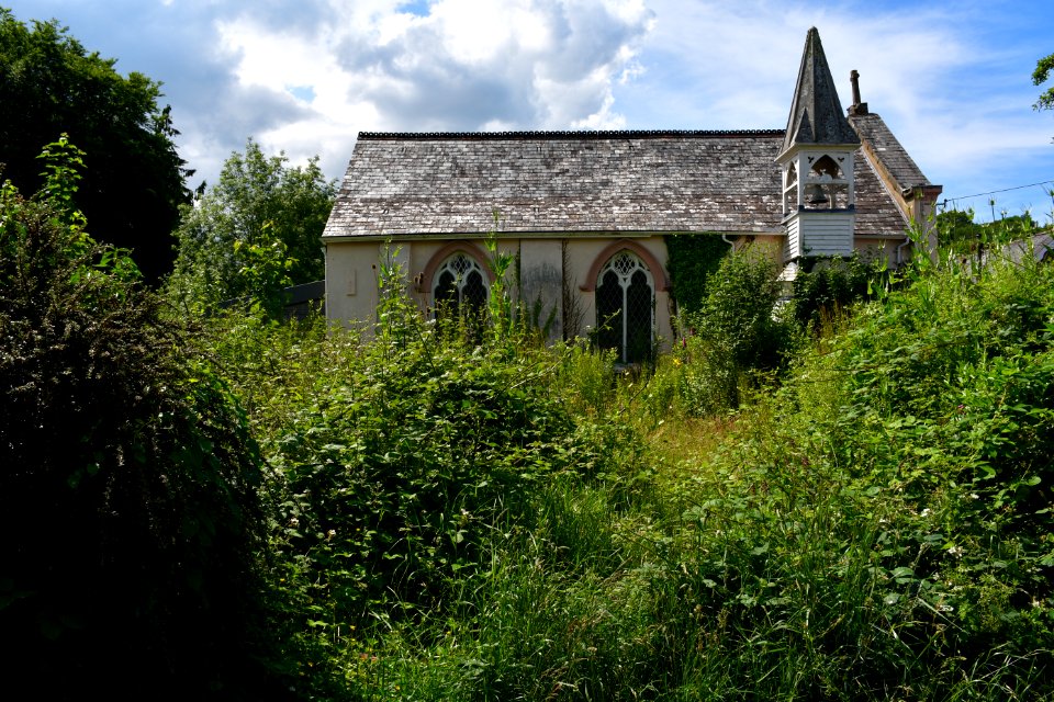 Sticklepath (2021-06-30) 32
