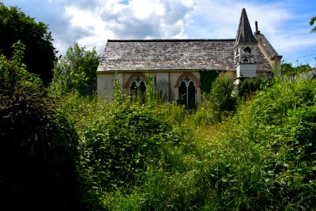 Sticklepath (2021-06-30) 32