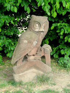 Stadtgarten Freiburg - DSC06702