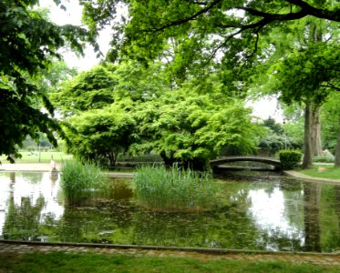Stadtgarten Freiburg - DSC06710