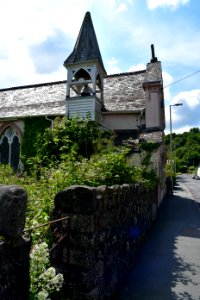Sticklepath (2021-06-30) 19