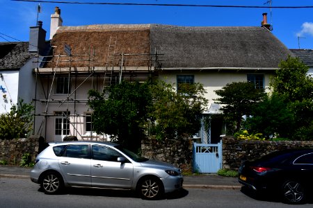 Sticklepath (2021-06-30) 18