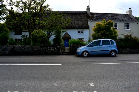 Sticklepath (2021-06-30) 06