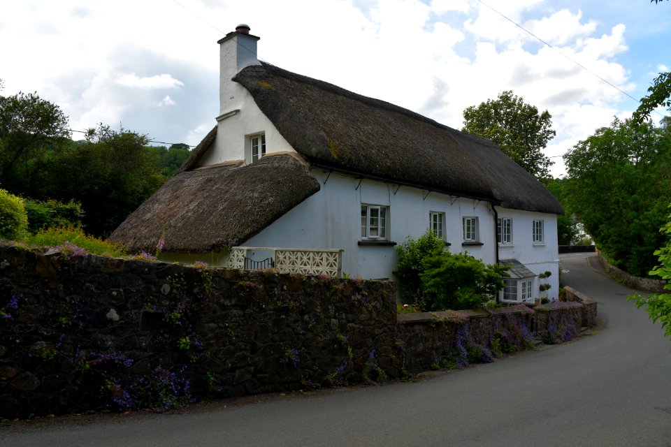 Sticklepath (2021-06-30) 01