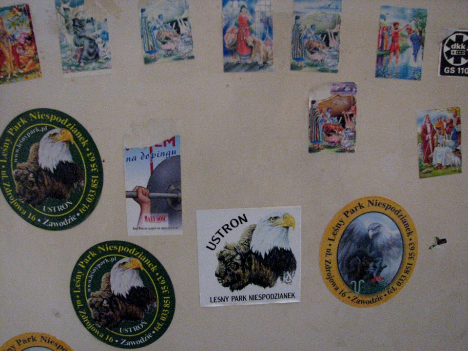 Stickers Poland 2017