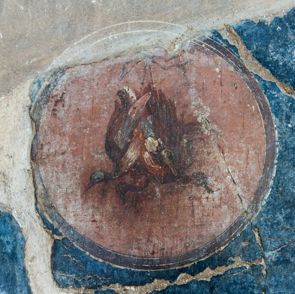 Still life ducks Herculaneum