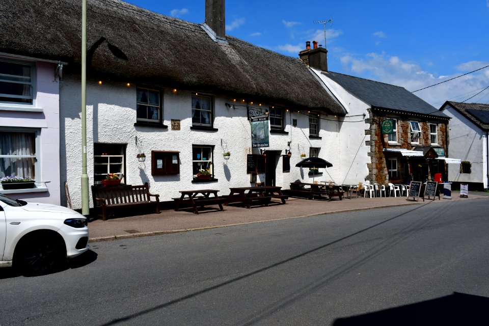 Sticklepath (2021-06-30) 45